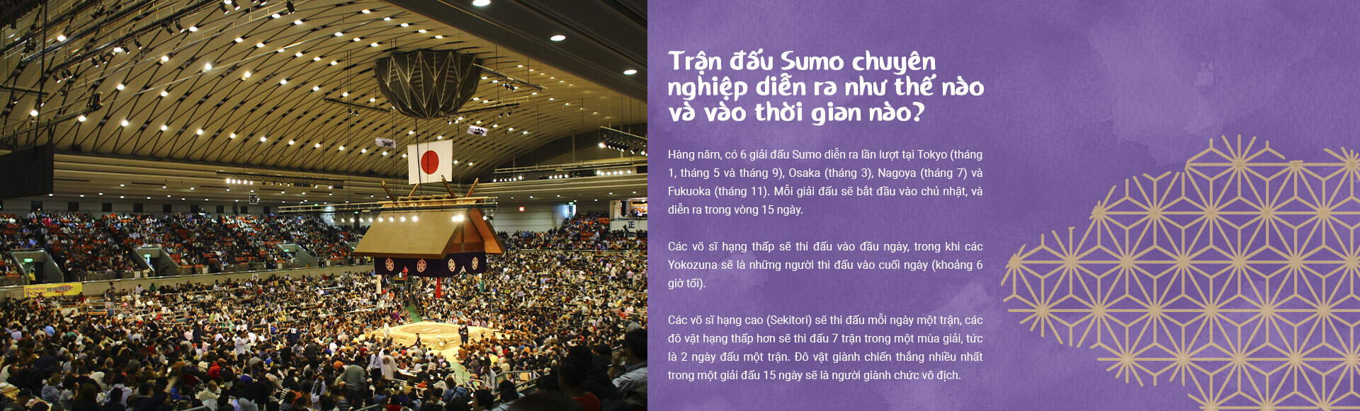 Trận đấu Sumo chuyên nghiệp diễn ra như thế nào và vào thời gian nào?